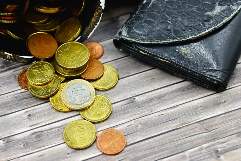 Euro coins